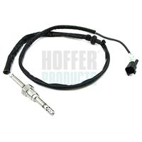 Sensor, Abgastemperatur