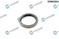 Shaft Seal, differential