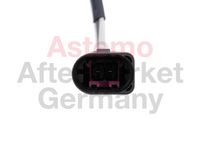 Sensor, Abgastemperatur
