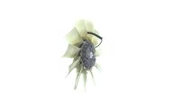 Thumbnail - Koelventilatorwiel - CFF480000P - MAHLE