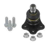 Trag-/Führungsgelenk