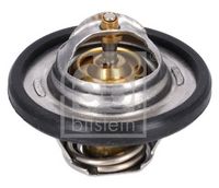 Thermostat, Kühlmittel