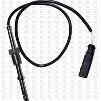Sensor, Abgastemperatur