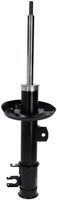 Article Picture