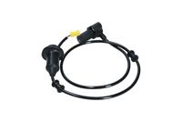 Article Picture
