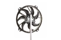 Thumbnail - Koelventilatorwiel - CFF279000P - MAHLE