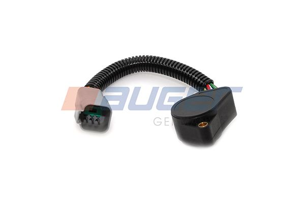 Sensor, Fahrpedalstellung Sensor, Fahrpedalstellung