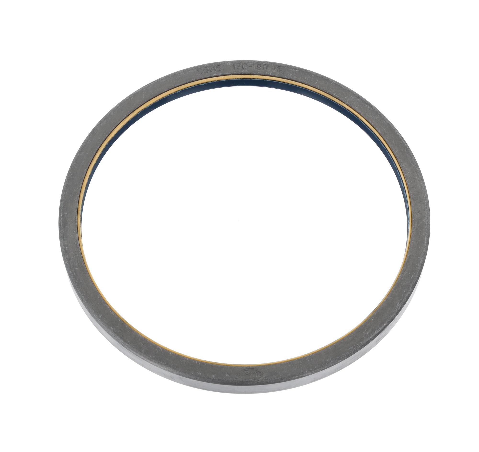 Dichtring