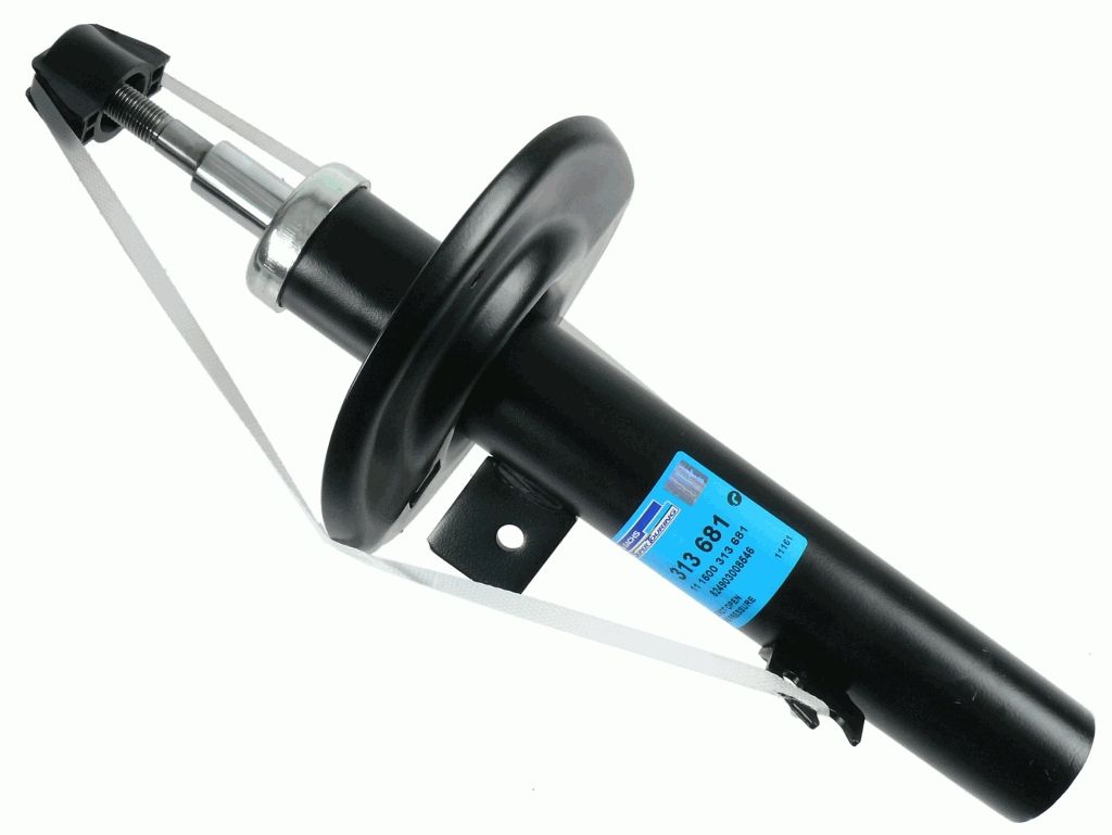 Shock Absorber 313 681