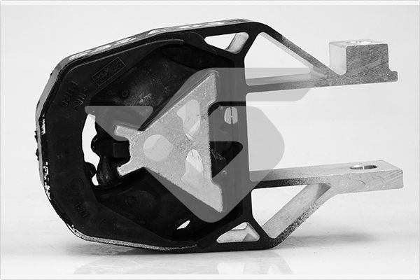 Halter, Motoraufhängung