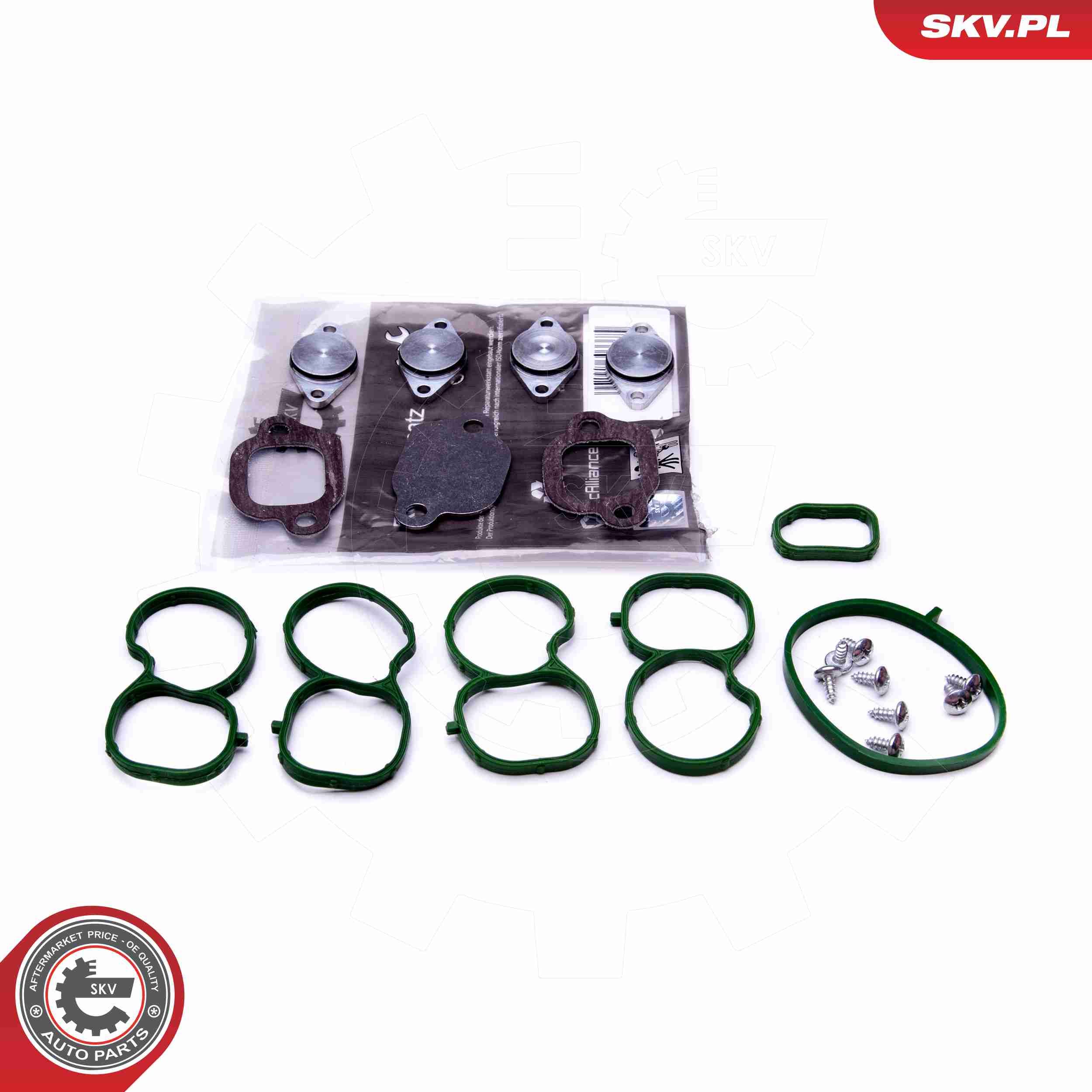 ESEN SKV 49SKV512 - Reparatursatz, Saugrohrmodul