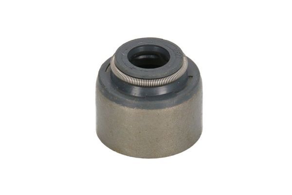 Dichtring, Ventilschaft