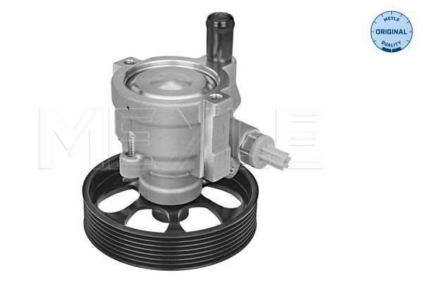Hydraulikpumpe, Lenkung