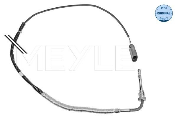 Sensor, Abgastemperatur Sensor, Abgastemperatur