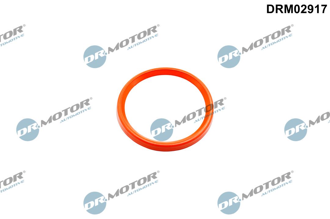 Dr.Motor Automotive DRM02917 Dichtring, Lader
