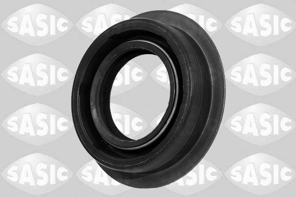 Shaft Seal, differential 1950013