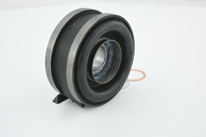 guolis, kardaninio veleno centrinis guolis