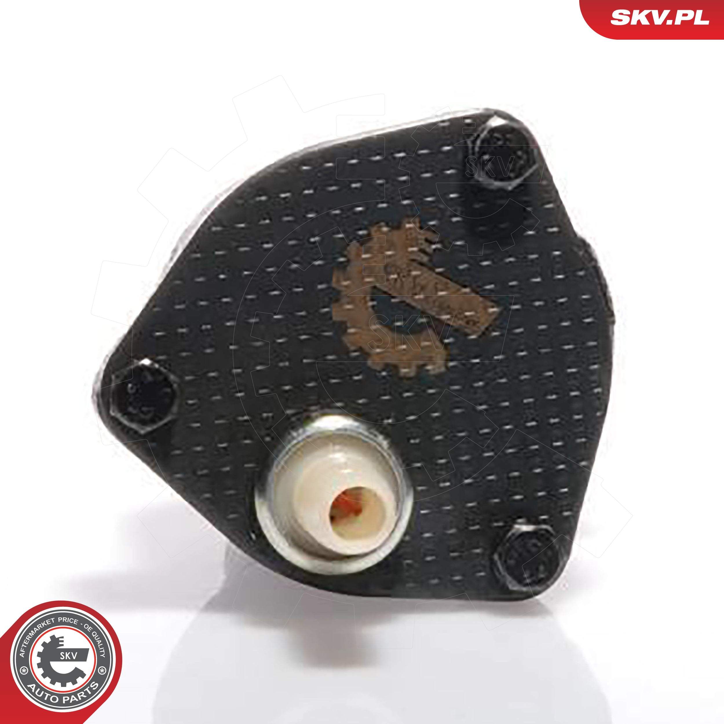 Unterdruckpumpe, Bremsanlage