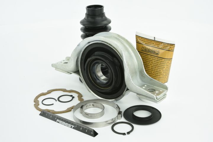 guolis, kardaninio veleno centrinis guolis