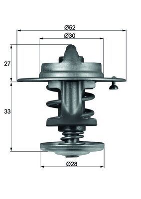 Thermostat, coolant TX 80 83