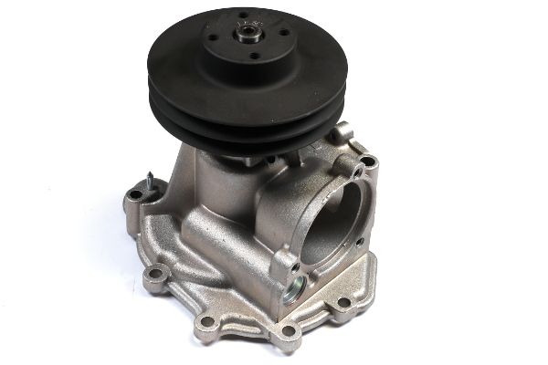 Wasserpumpe, Motorkühlung