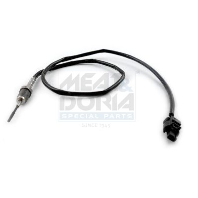 Sensor, Abgastemperatur