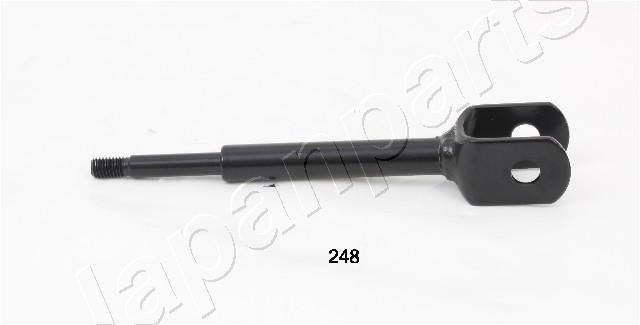 SI-248_1.JPG