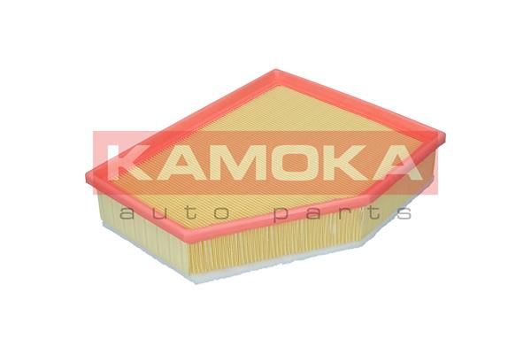 Air Filter F255701