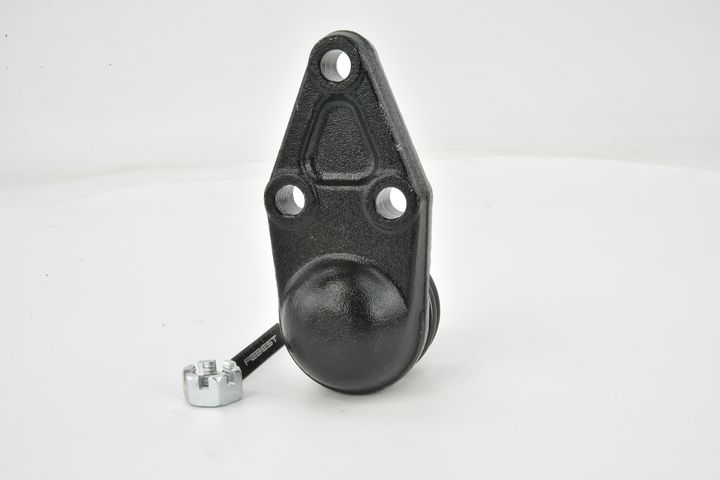 Šarnyras / girgždukas