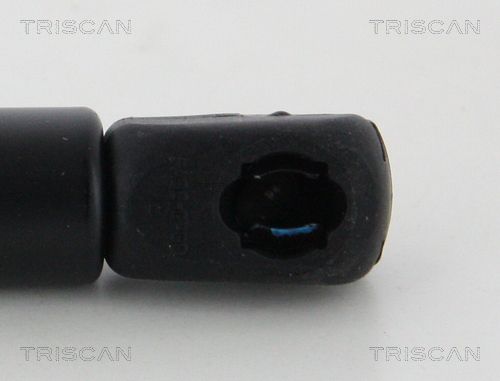 871029147_3.JPG