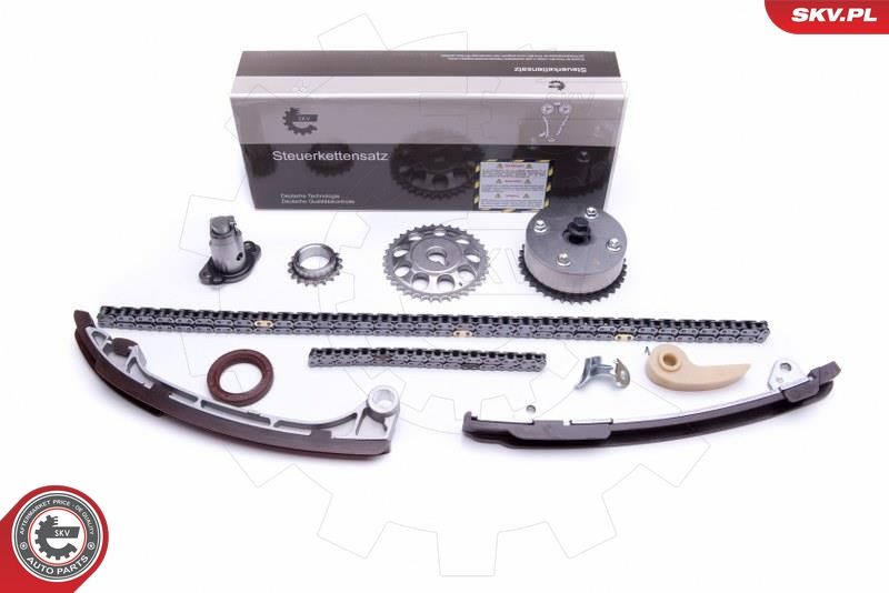Timing Chain Kit 21SKV230