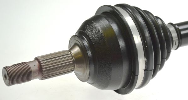 24873_305132B.JPG