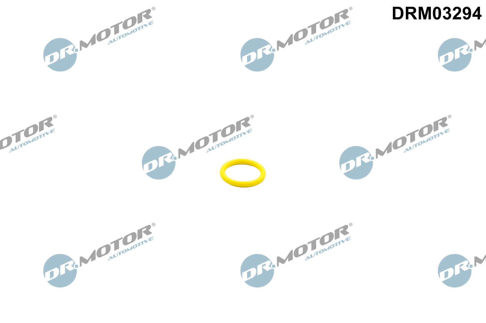 Dr.Motor Automotive DRM03294 - Verschlussring, Kraftstoffpumpe