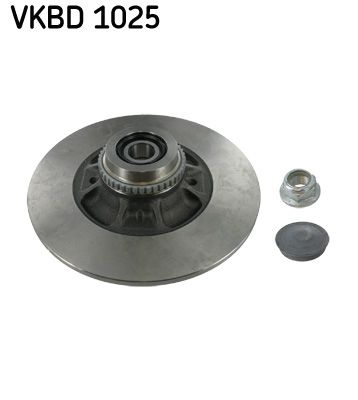 Brake Disc VKBD 1025