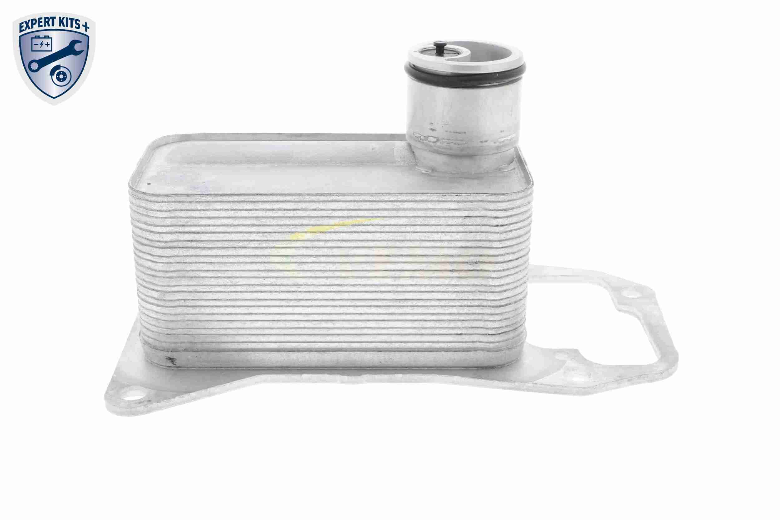 &Ouml;lk&uuml;hler, Motor&ouml;l