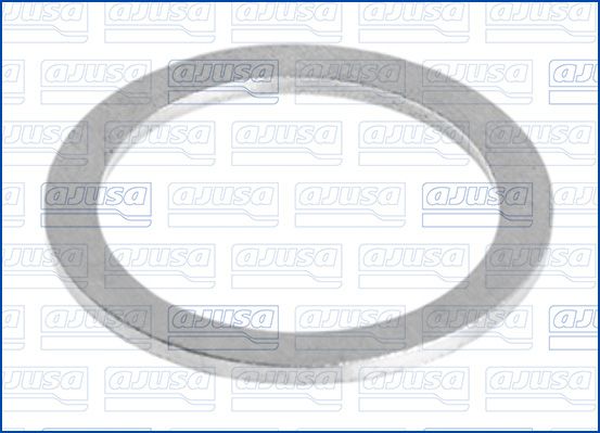Seal Ring, oil drain plug 22008700