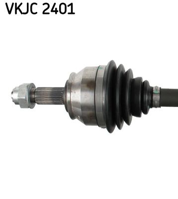 VKJC 2401_2.JPG