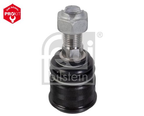 Šarnyras / girgždukas