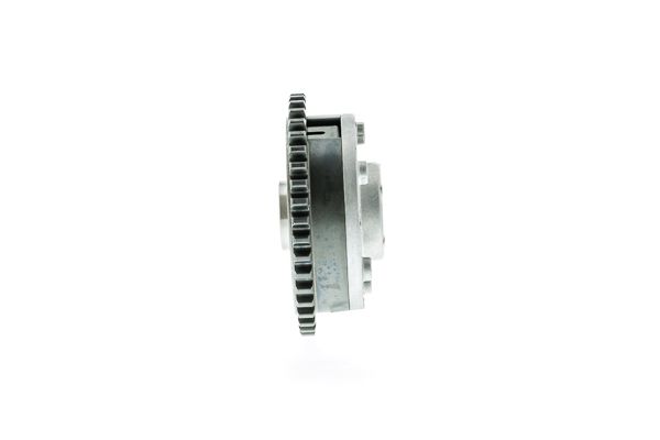 Stellelement, Exzenterwelle (variabler Ventilhub)
