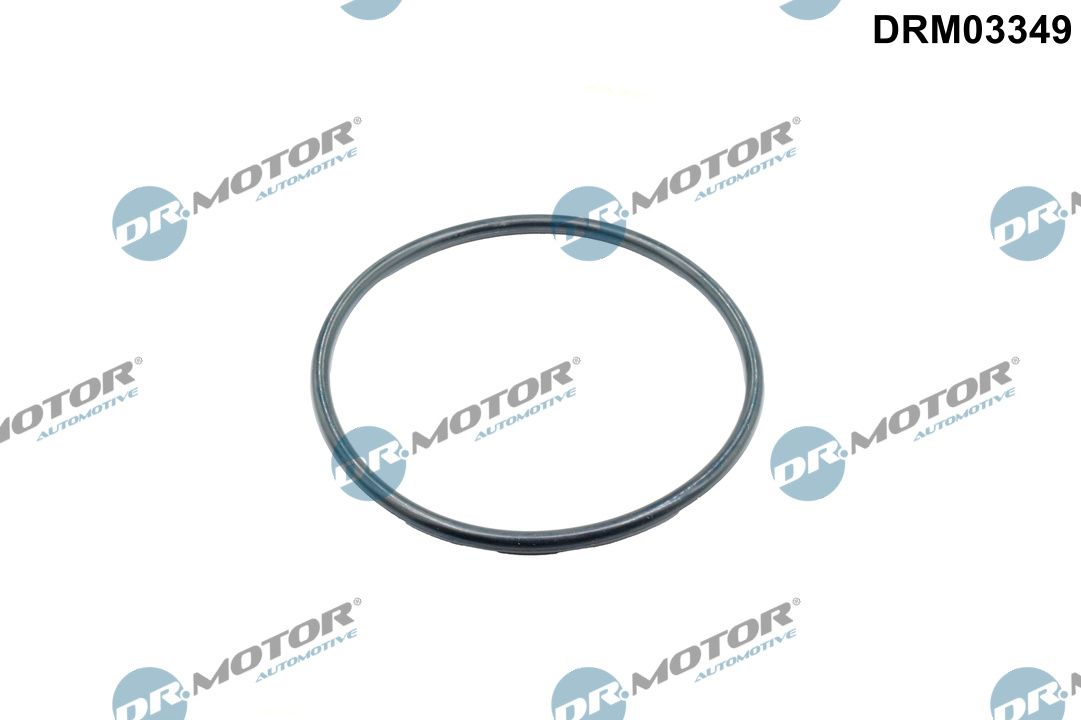 Dr.Motor Automotive DRM03349 - Dichtung, Ansaugkr&uuml;mmergeh&auml;use
