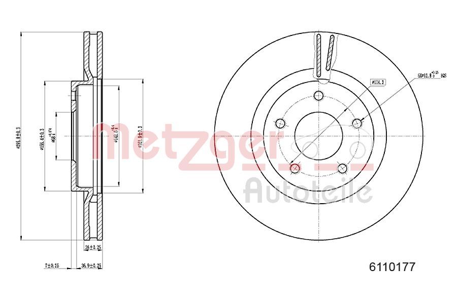 Brake Disc 6110177