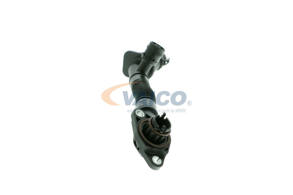 žarna, karterio alsuoklis