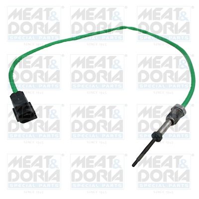 Sensor, exhaust gas temperature 12531