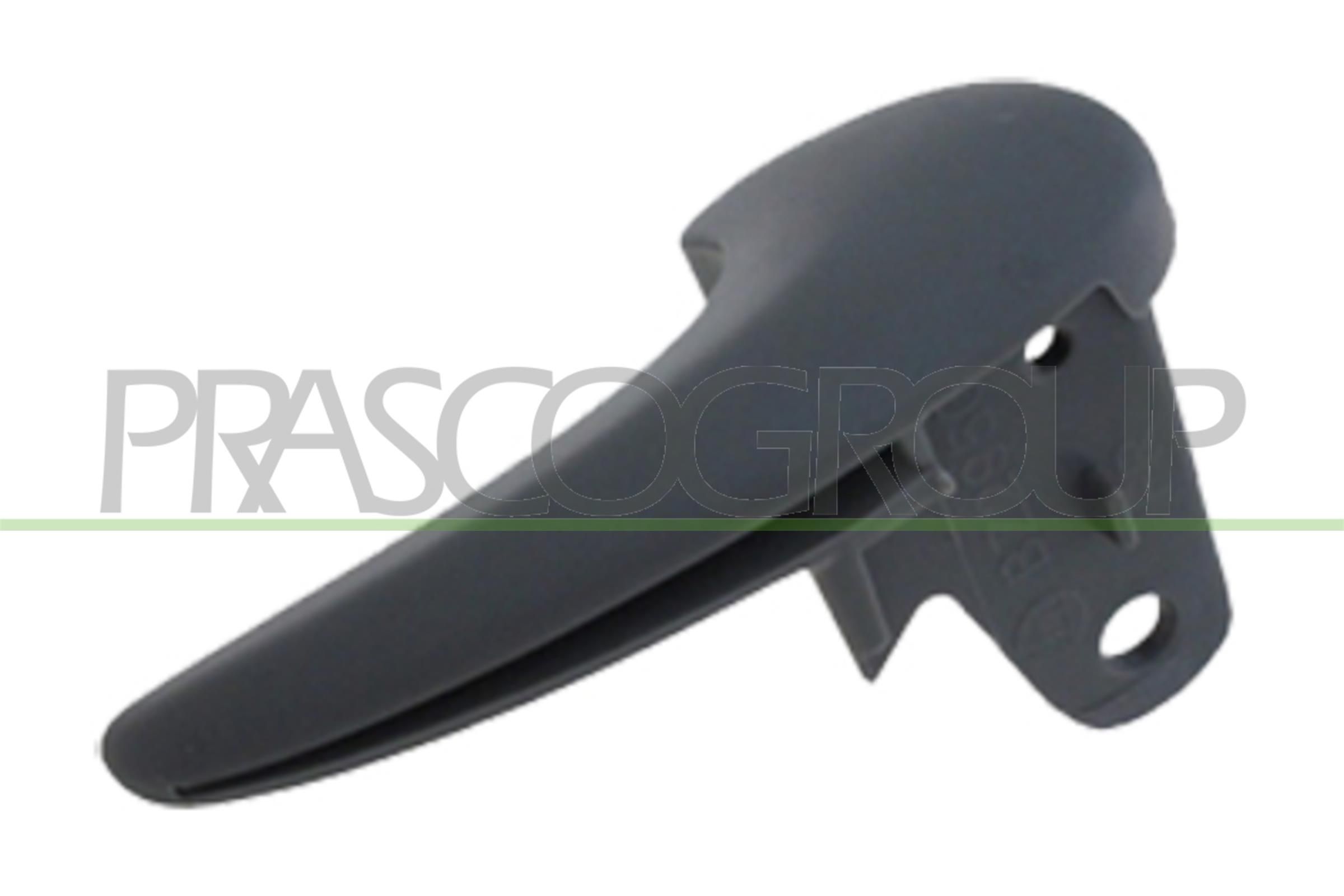 Türgriff, Innenausstattung