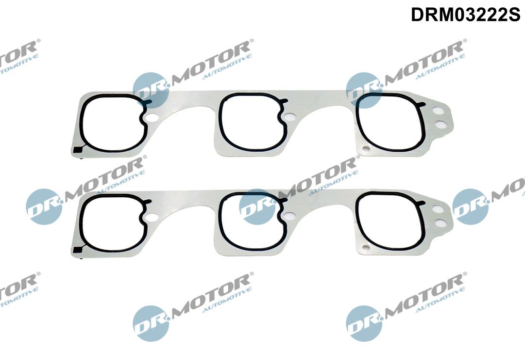 Dr.Motor Automotive DRM03222S Dichtungssatz, Ansaugkrümmer