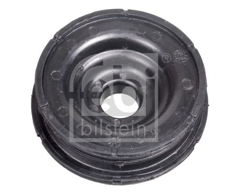 Federbeinstützlager