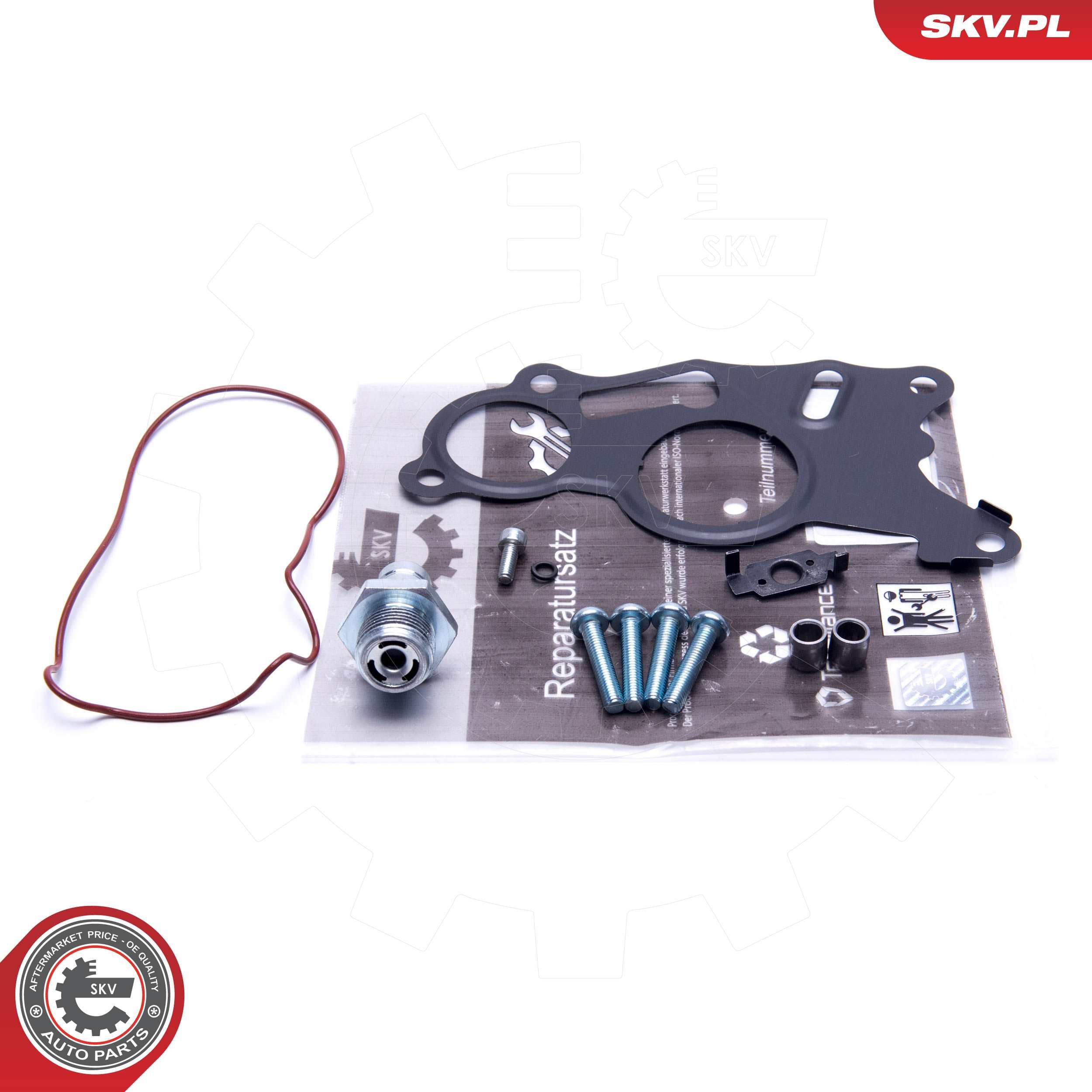 ESEN SKV 18SKV803 - Reparatursatz, Unterdruckpumpe (Bremsanlage)