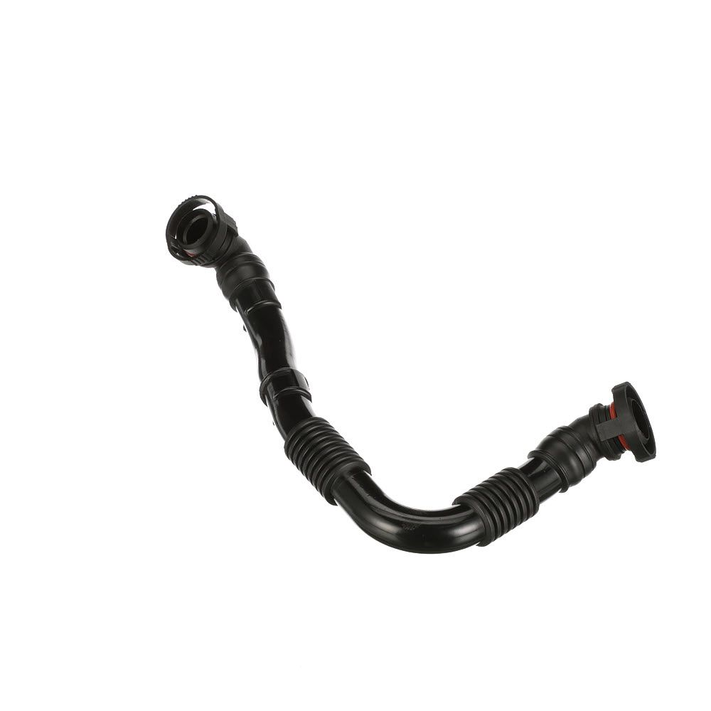 žarna, karterio alsuoklis