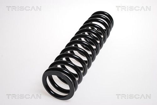 8750 4076 TRISCAN futómű rugó