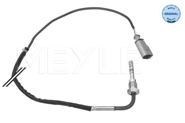 Sensor, Abgastemperatur